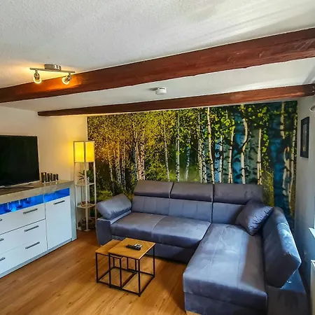 Zwei Moderne Am Wald Altbaucharme, Waldblick Apartment Wernigerode