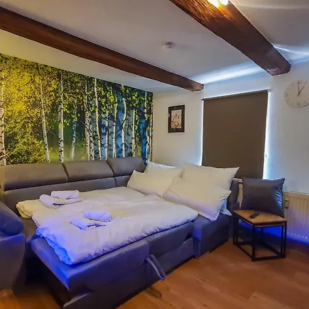 Zwei Moderne Am Wald Altbaucharme, Waldblick Wernigerode